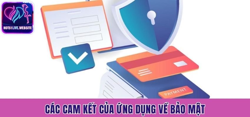 Các cam kết của ứng dụng về bảo mật
